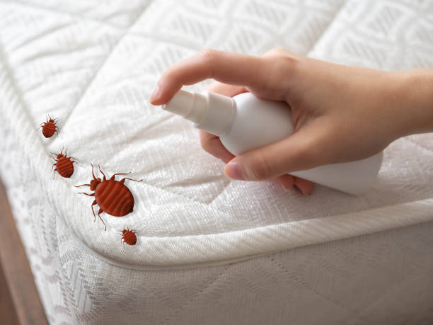 Best Residential Pest Control  in Moulton, AL